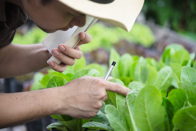 El uso de aplicaciones meteorológicas en la agricultura