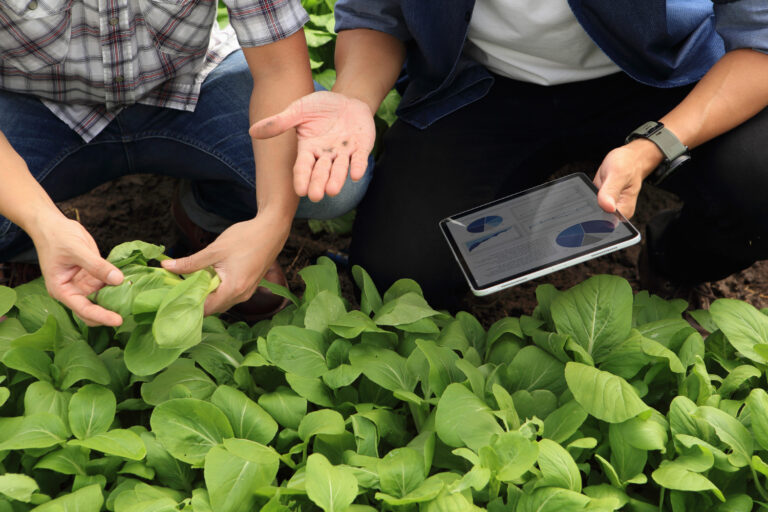 La planificación y la aplicación en la agricultura de precisión