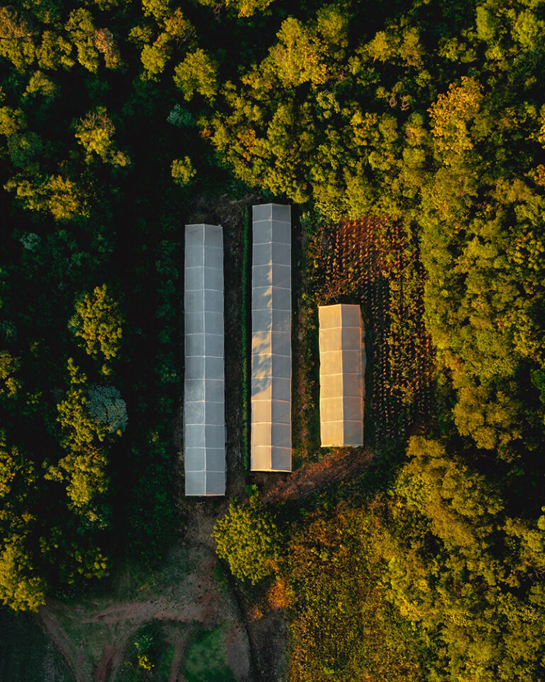 Los drones con IA que ofrece Agro Sustentable para aplicar bioinsumos 