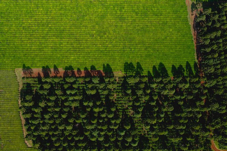 El uso de la tecnología que Agro Sustentable recomienda para producir un cultivo más sustentable