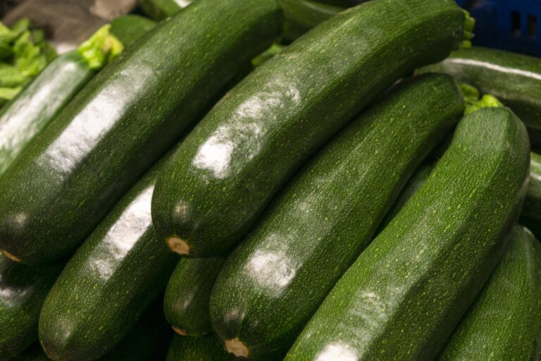 Joaquín Basanta analiza el impacto de la calidad de los insumos en la producción agrícola en Argentina