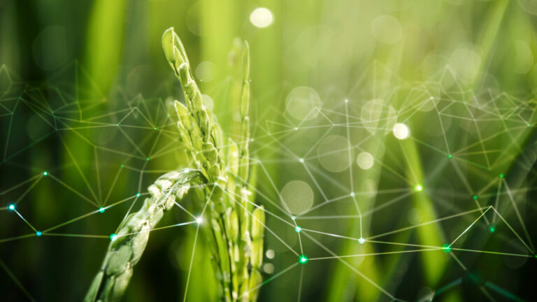 Agro Sustentable investiga las mejores tecnologías verdes para el agro