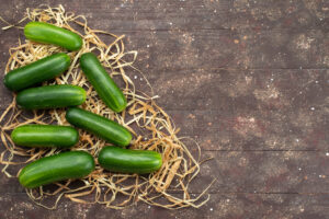 Agro Sustentable revoluciona el manejo de plagas del pepino con BIOINSECT de origen orgánico