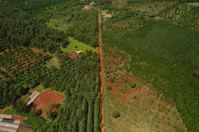 Revolución tecnológica para  una agricultura más sostenible