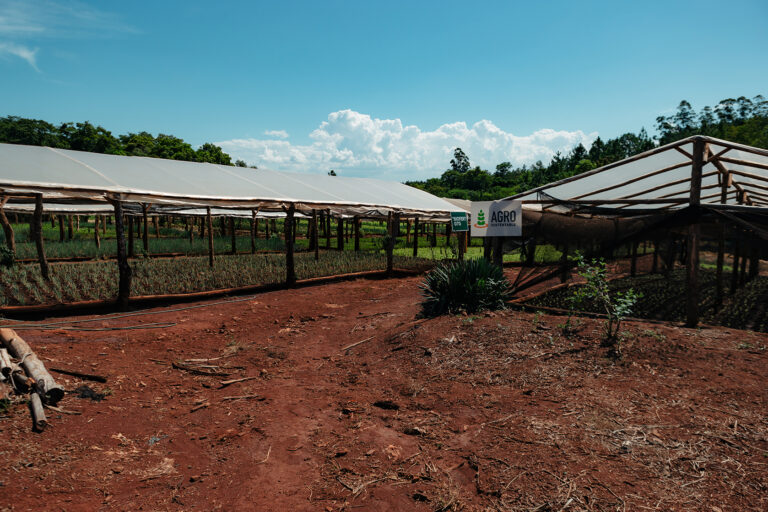 La tecnología cambió la configuración del trabajo agrícola y el impacto que genera en la sociedad