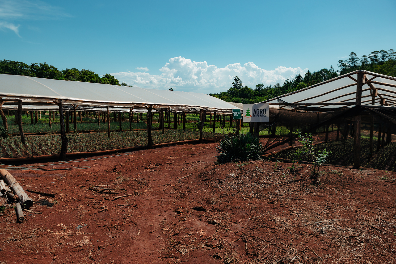 Infraestructura rural con invernaderos y señalética de Agro Sustentable, representando la profesionalización y tecnificación de la agricultura en Argentina.