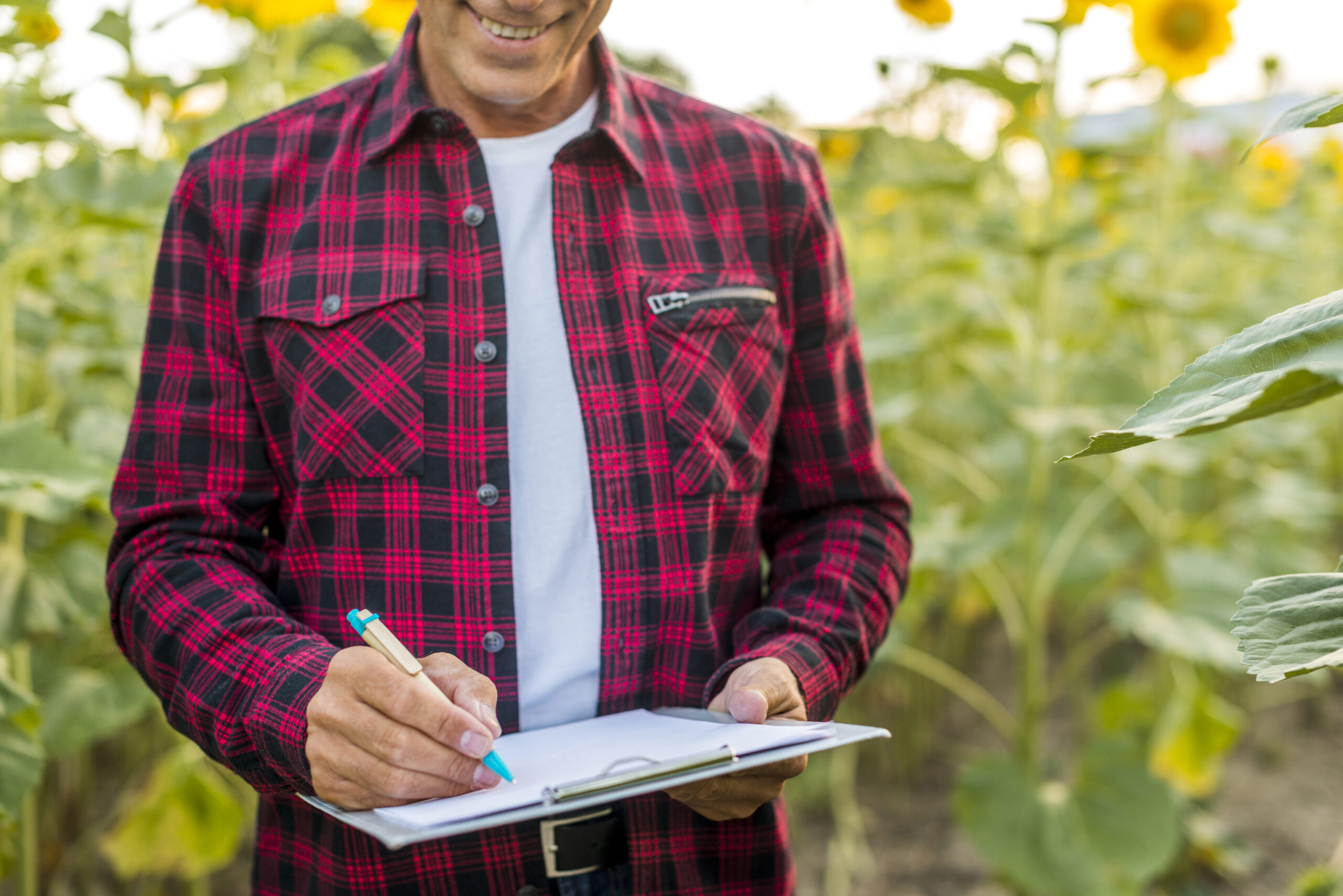 Técnico agrícola tomando notas en un campo de girasoles como parte del monitoreo de buenas prácticas para certificaciones sostenibles.