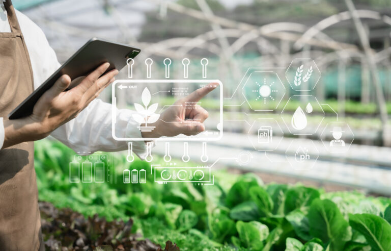 Las claves para implementar prácticas orgánicas en sistemas agrícolas convencionales