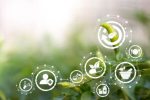 Planta joven con íconos digitales que representan salud, nutrición, sostenibilidad, comercio justo y tecnología, simbolizando certificaciones agrícolas sostenibles.