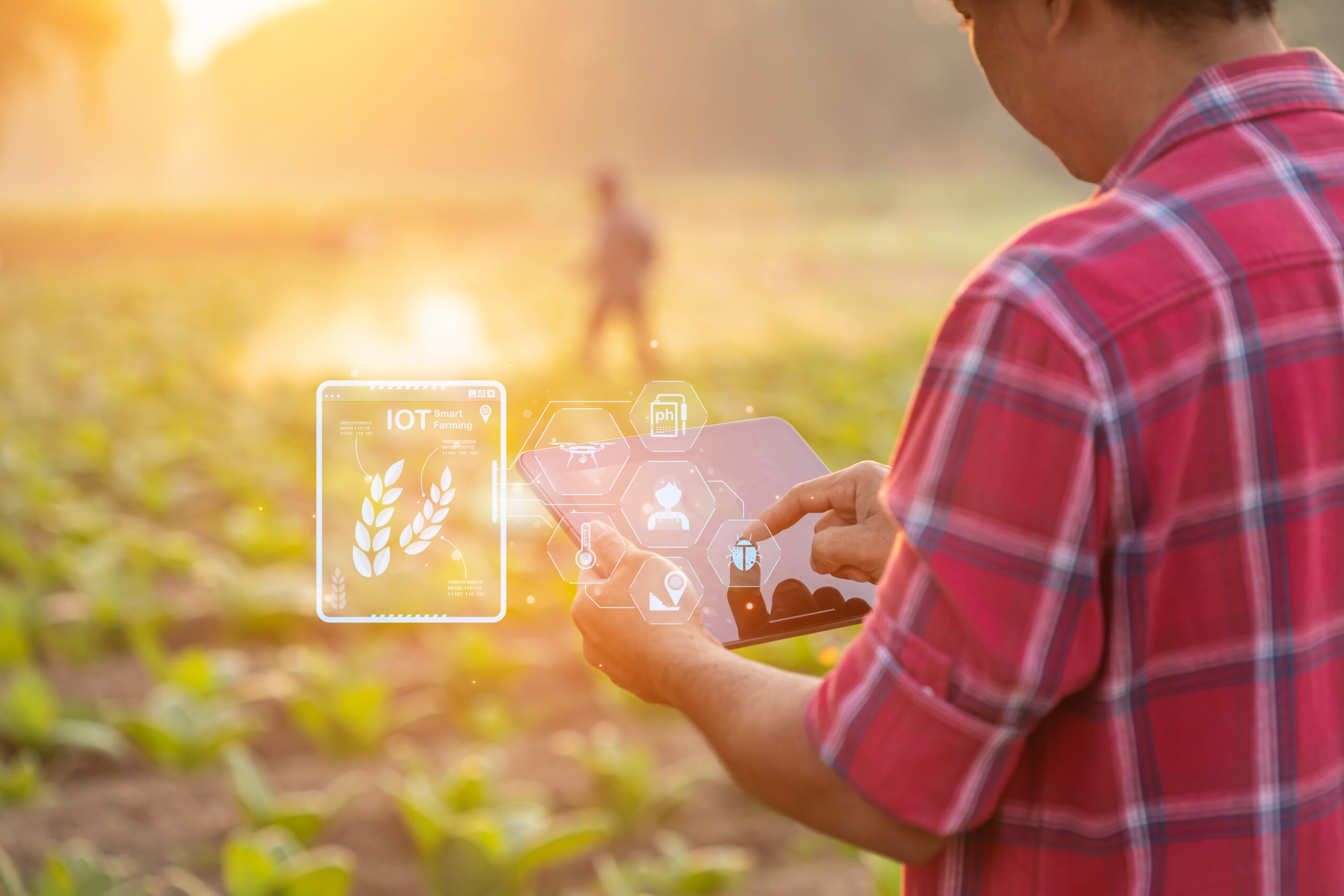 Agricultor utilizando una tablet con interfaz digital en un campo de cultivo, integrando datos agrícolas con tecnología IoT para optimizar decisiones de producción sostenible.