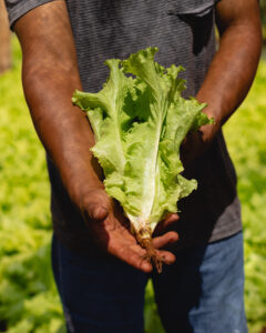 Los alimentos orgánicos son más caros: ¿mito o realidad?