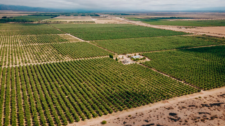 Agro Sustentable transforma la agricultura con tecnología innovadora
