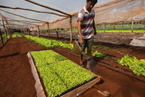 Agro Sustentable fue reconocida por ofrecer alternativas saludables para el sector de la producción