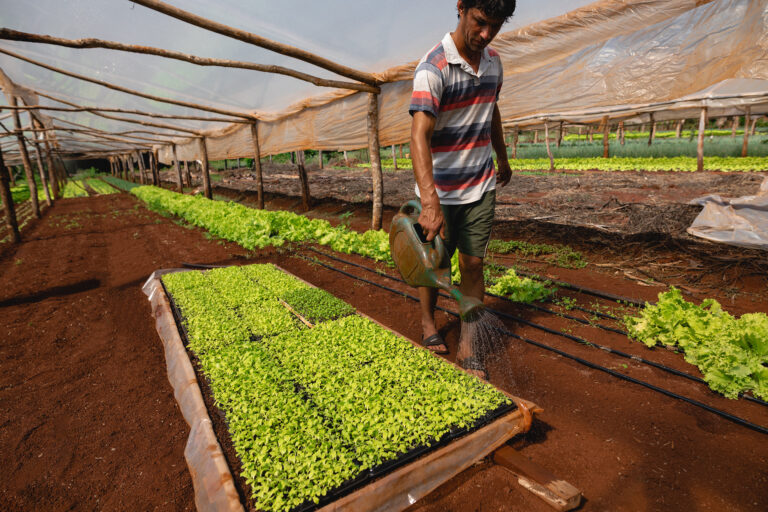 Agro Sustentable fue reconocida por ofrecer alternativas saludables para el sector de la producción