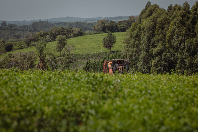 Agro Sustentable: la empresa que combina la elaboración de bioinsumos y el uso de drones para el agro