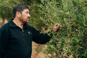 Cultivando confianza: cómo las certificaciones impulsan a los pequeños productores