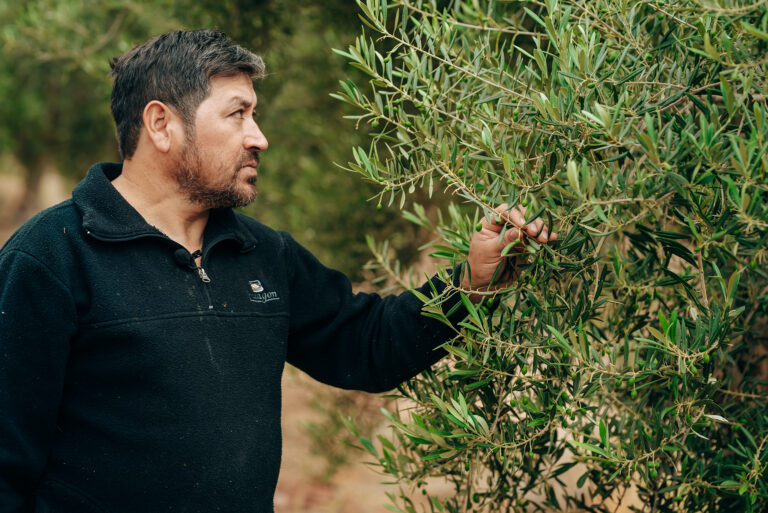 Cultivando confianza: cómo las certificaciones impulsan a los pequeños productores