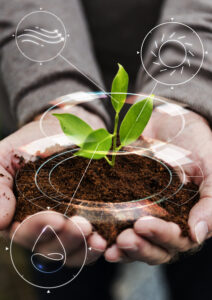 Manos sostienen una planta joven con íconos digitales de clima, luz solar, agua y aire, representando el uso de tecnología en la agricultura sostenible con bioinsumos.