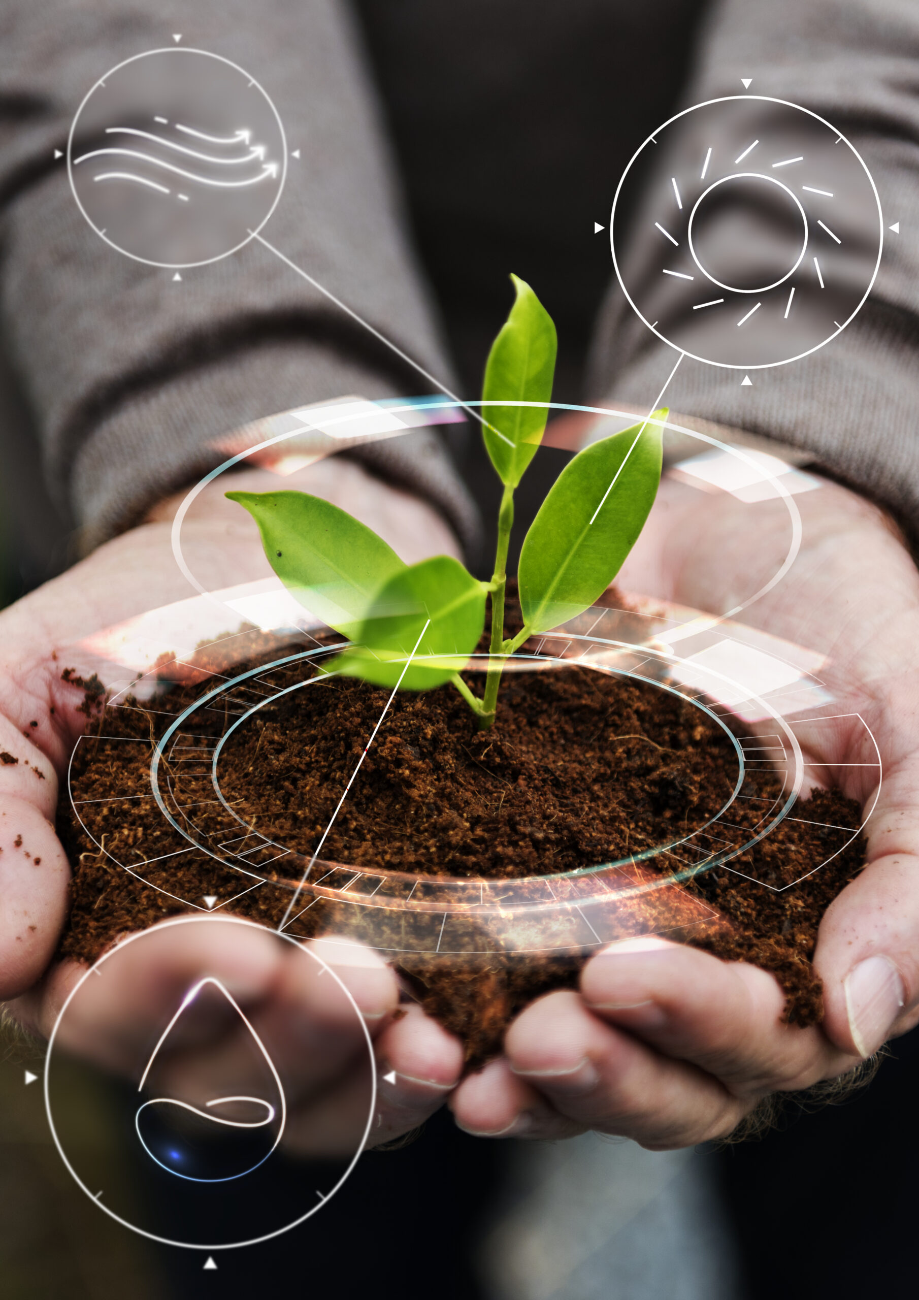 Manos sostienen una planta joven con íconos digitales de clima, luz solar, agua y aire, representando el uso de tecnología en la agricultura sostenible con bioinsumos.