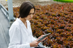 Mujer joven con bata blanca utilizando una tablet en un invernadero, frente a una plantación de lechugas rojas, en el contexto de prácticas agrícolas tecnológicas.