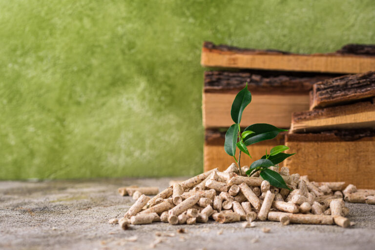 Innovación viva,  las nuevas composiciones de bioinsumos para la agricultura