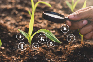 Mano sostiene una lupa sobre una planta joven, con íconos tecnológicos que representan factores como luz, humedad, plagas y nutrientes, simbolizando la Agricultura 5.0.