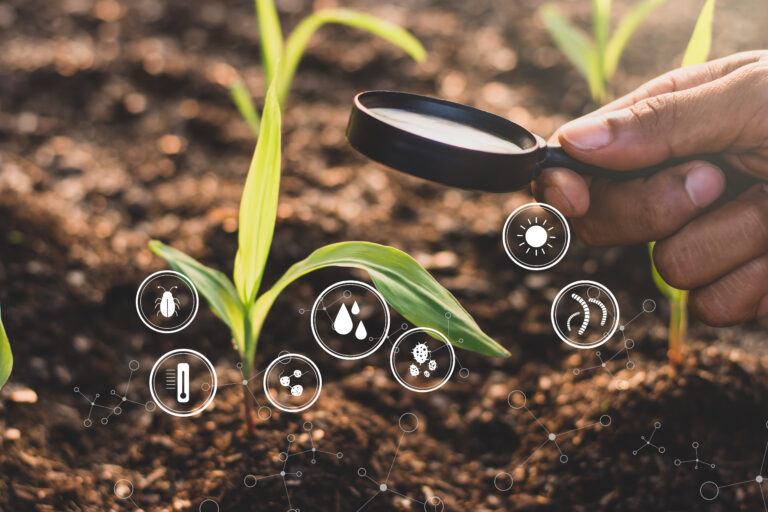 Bioinsumos y agricultura 5.0: drones que responden a datos en tiempo real