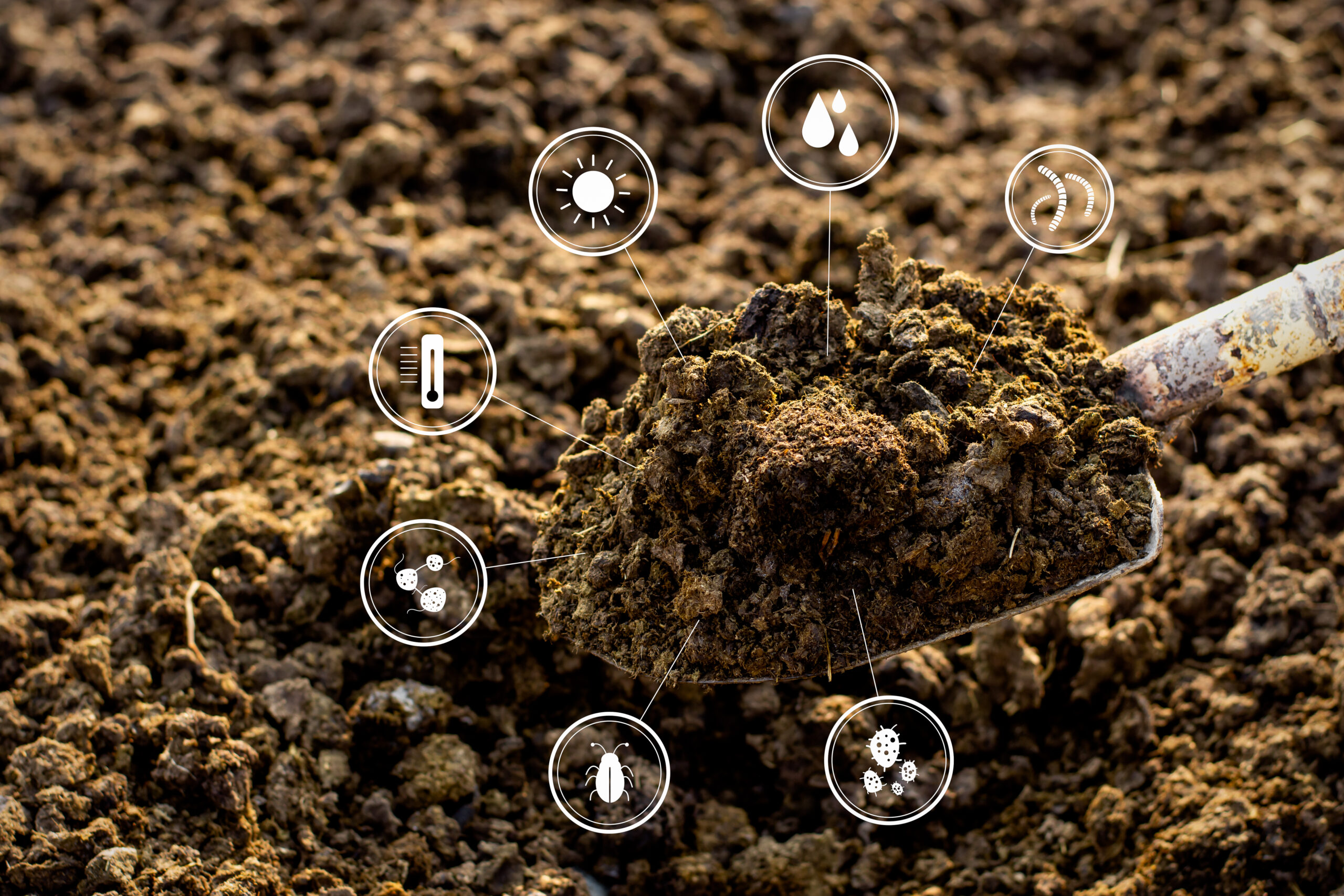 Montículo de tierra fértil con íconos digitales de temperatura, humedad, microorganismos y radiación solar, representando la agricultura de precisión.