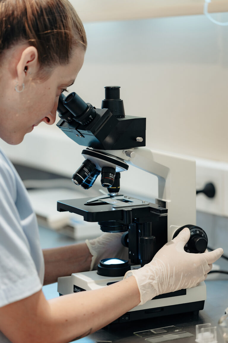 Del laboratorio al clima: Avances tecnológicos para la sostenibilidad