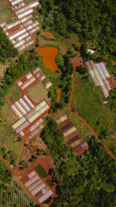 Drones en el campo: un cambio que ya empezó
