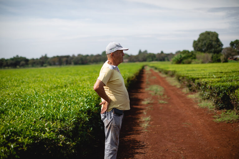 Agro Sustentable amplía el uso de BIOINSECT para combatir plagas en los cultivos de pepino argentino