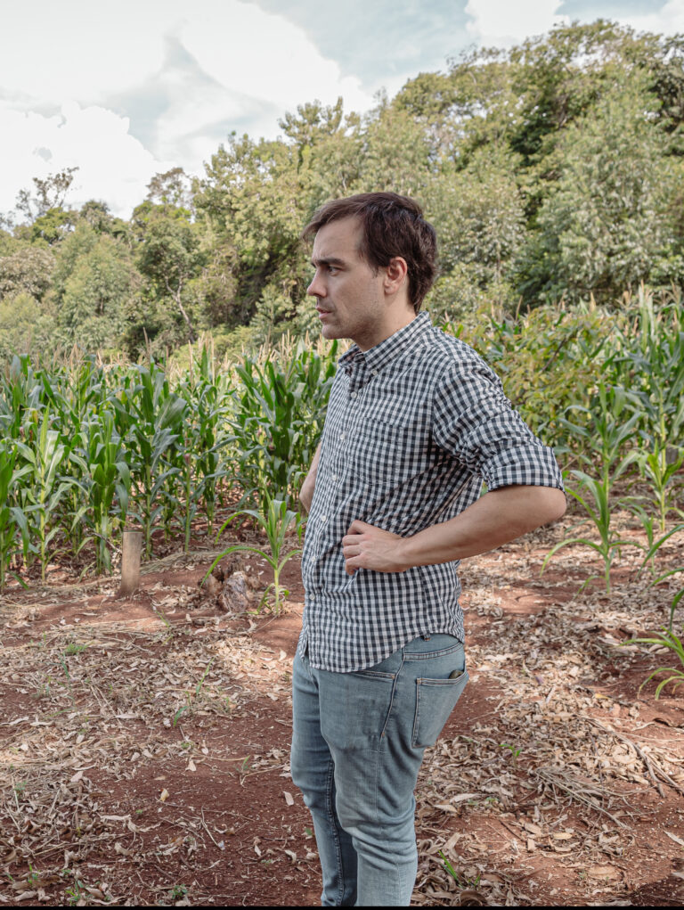 La batalla silenciosa: cómo los productores orgánicos cuidan sus pepinos