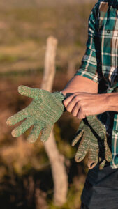 El agro del mañana: la certificación B como pilar de innovación y resiliencia