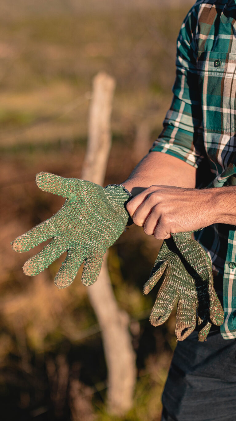 El agro del mañana: la certificación B como pilar de innovación y resiliencia