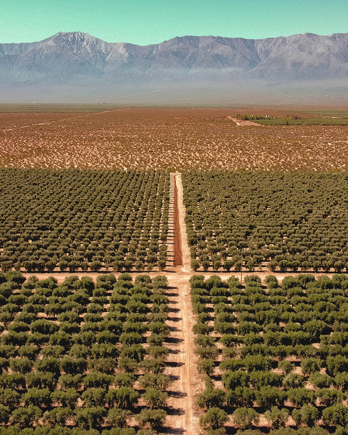 Agro 4.0: ¿La revolución verde es realmente verde?