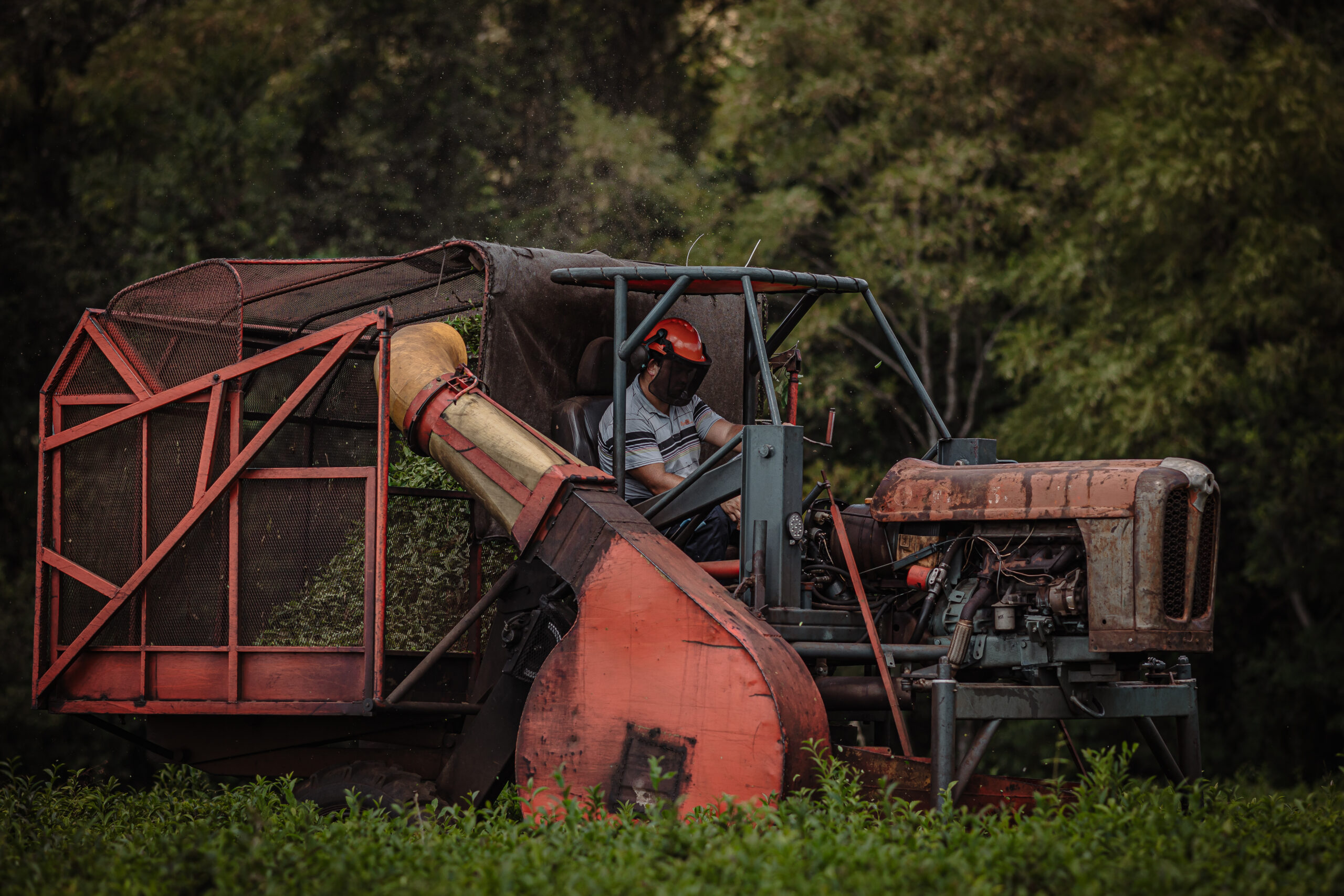 Agricultor operando maquinaria de cosecha moderna en un campo rodeado de vegetación.