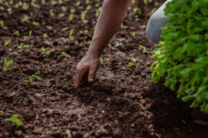 Más allá del rendimiento: Por qué la Agenda 2030 exige una nueva mentalidad agrícola