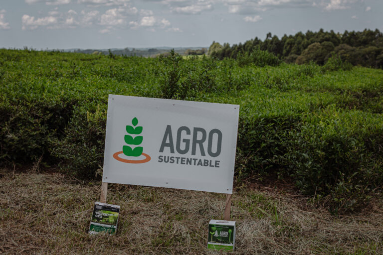 Promover la seguridad alimentaria mediante el uso de bioinsumos en el campo