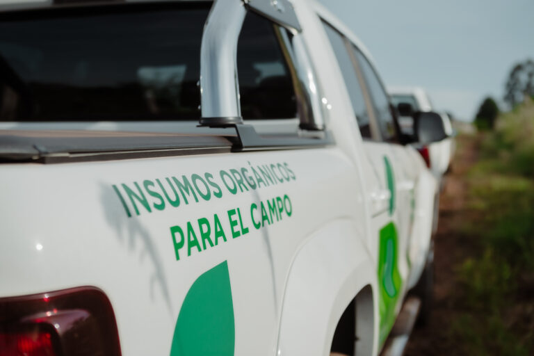Pepinos sin químicos: La apuesta de Agro Sustentable por la agricultura del futuro
