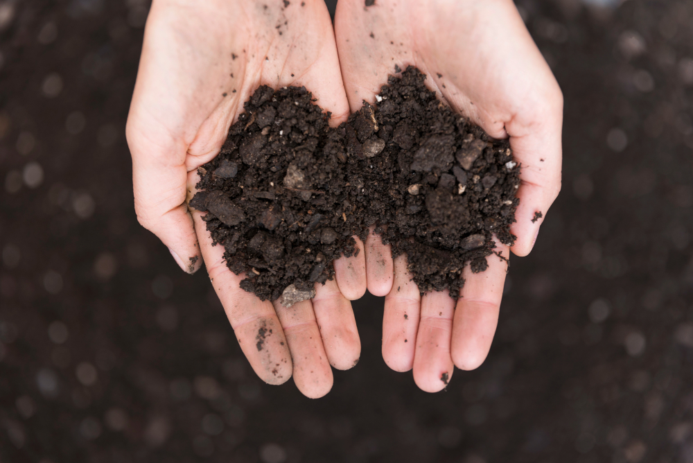 Manos sosteniendo tierra oscura y fértil, simbolizando planificación estratégica y decisiones sostenibles sobre el uso del suelo agrícola.